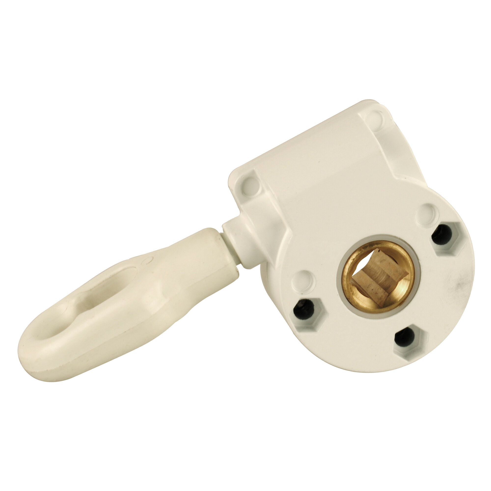 Gear with Eyelet