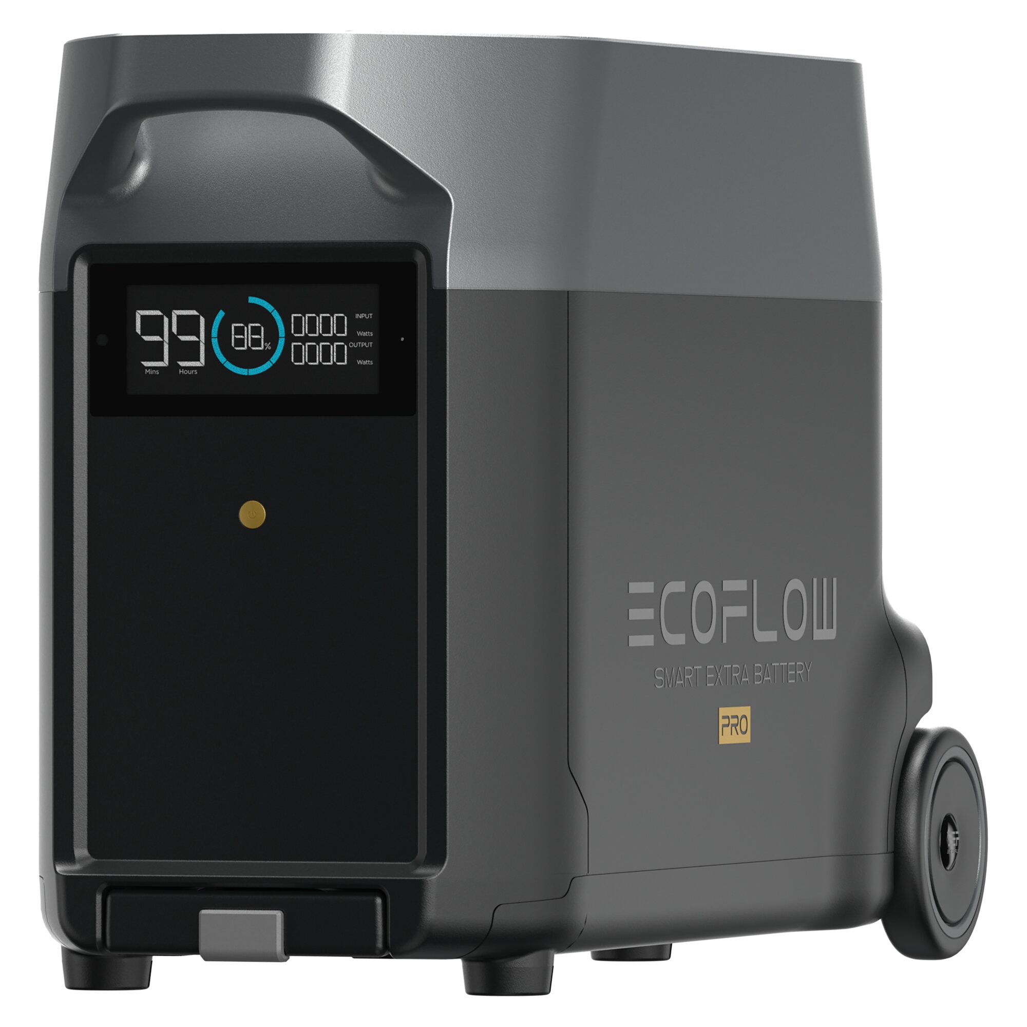 Additional Battery DELTA Pro