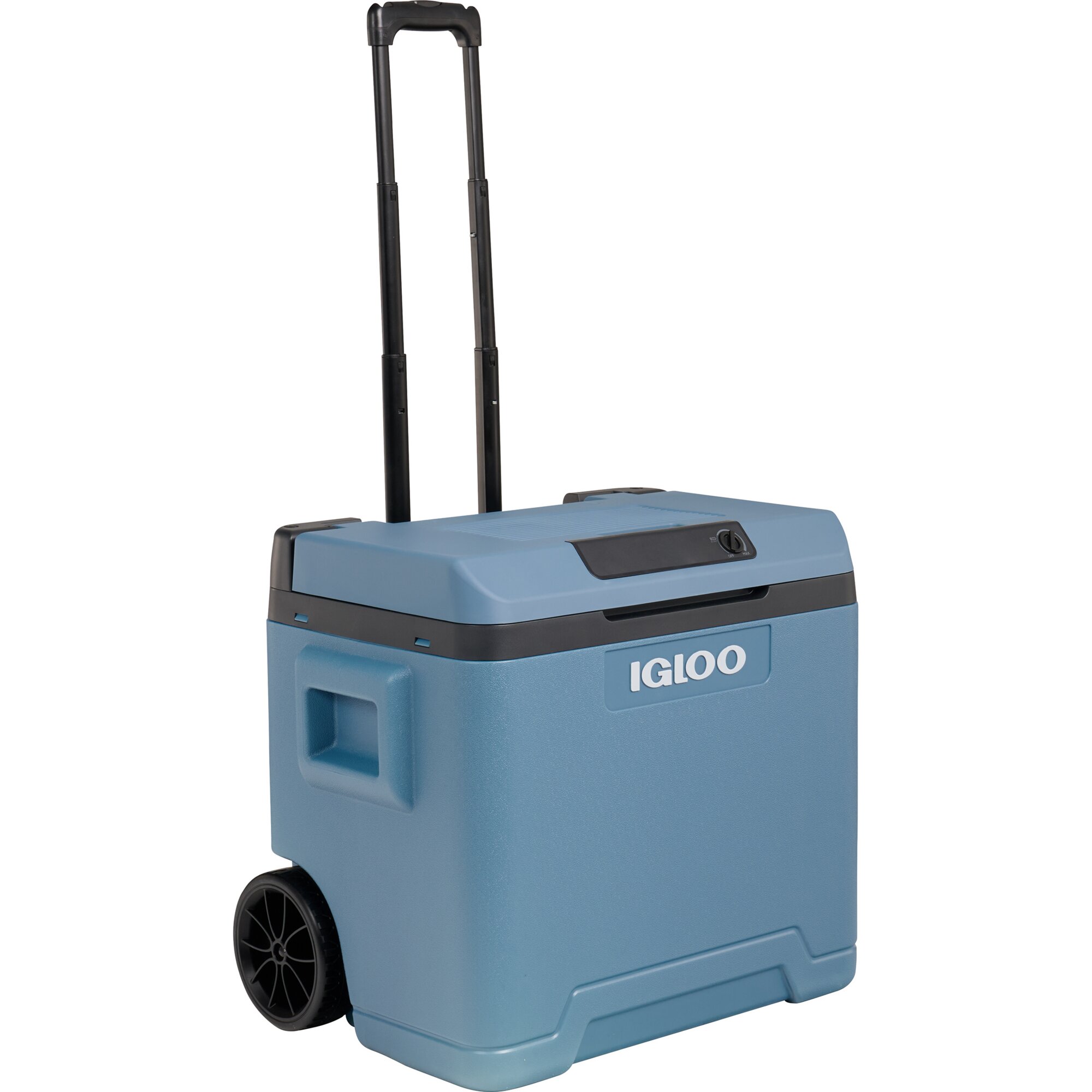 Igloo IE 42, 12/230 V