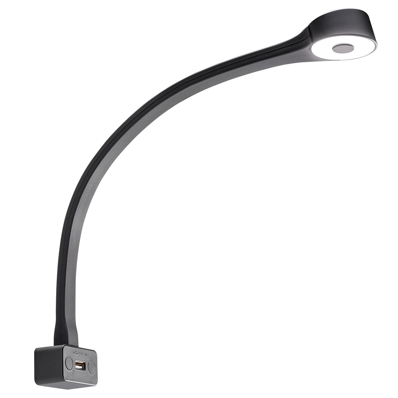 Gooseneck Lamp Type F, black